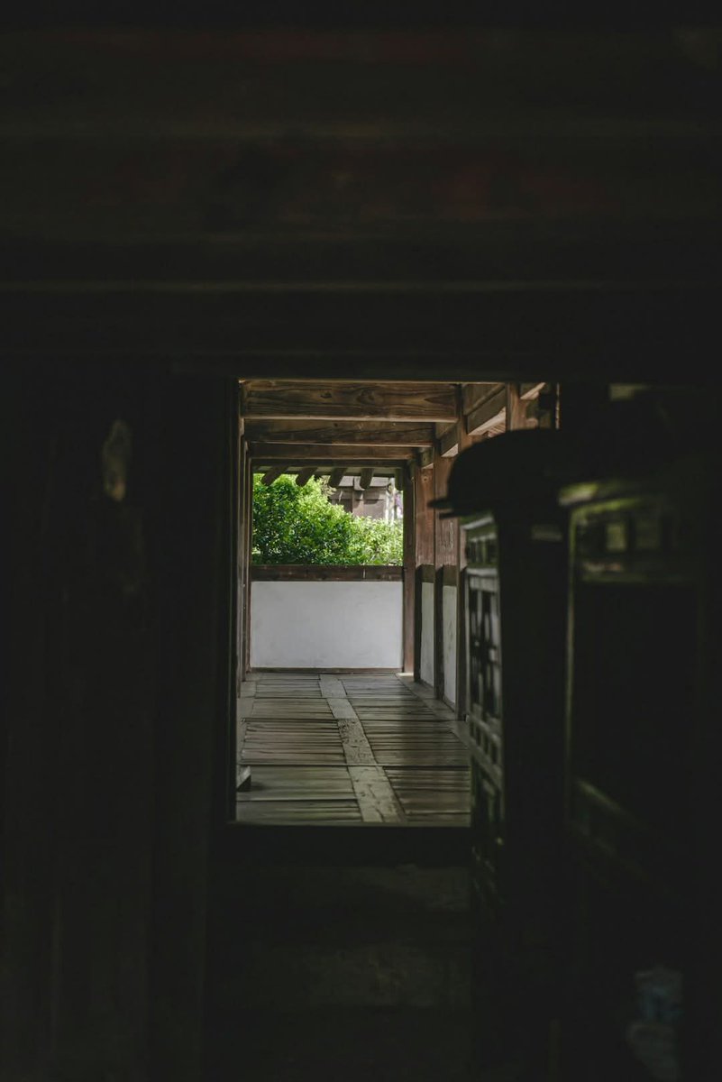 AlexSigmore's tweet image. She frees your wrists. The Marshal’s missing. The house is silent.

Do you:
A) Run out the front door
B) Slip out the back for answers

#BookChat #InteractiveFiction #Thriller #BookTok #Reading