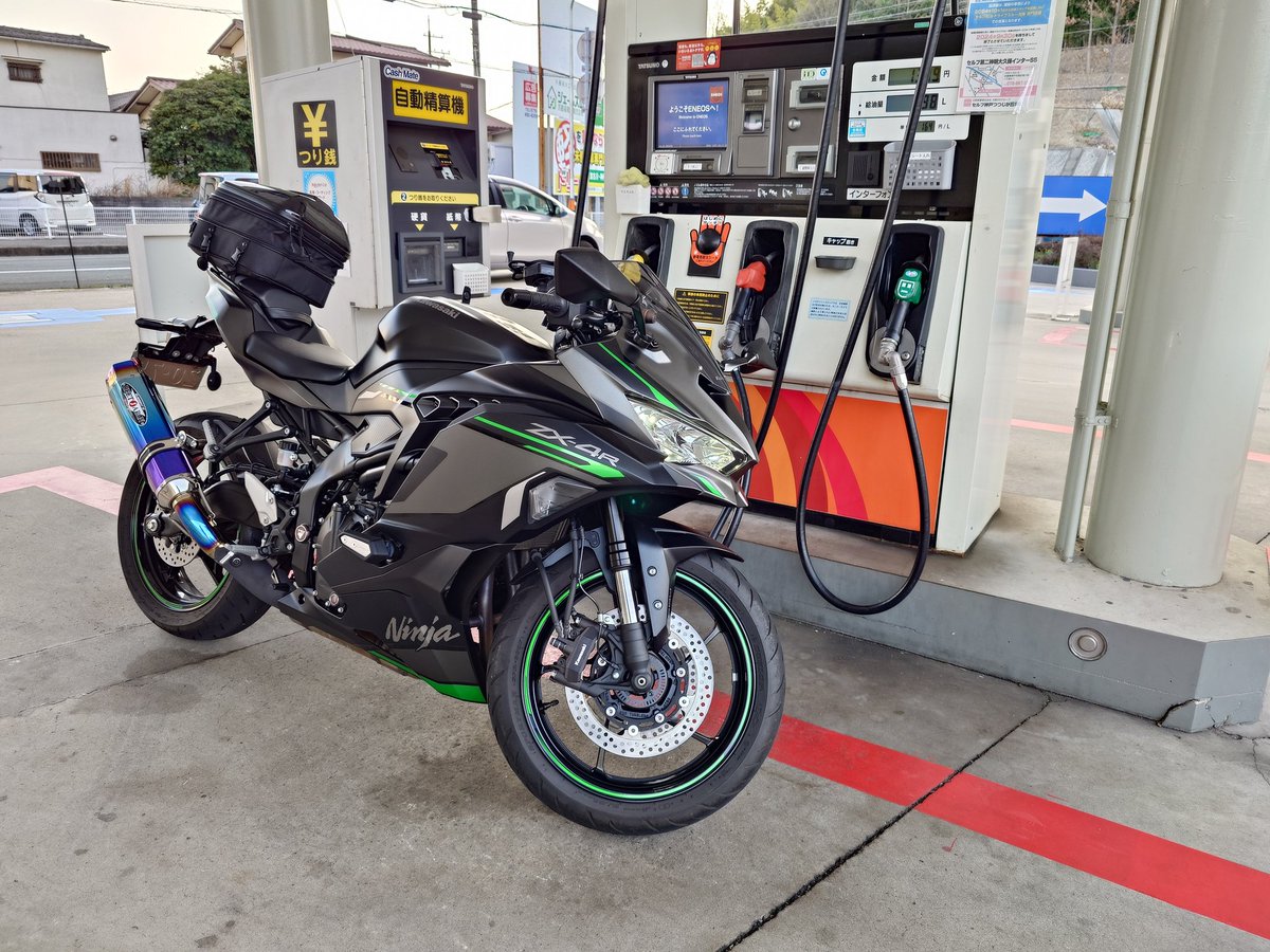 孫の自画像 加須はなさき公園 #ZEPHYR750#ZR750#ZR750C1 #ゼファー750