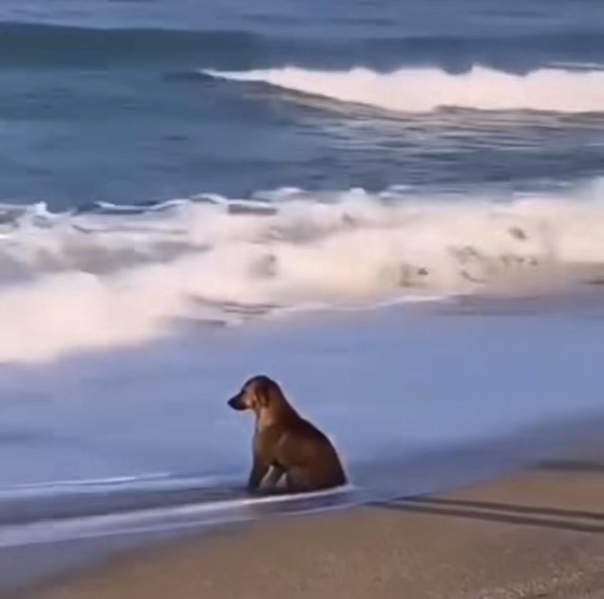 Bugün baba evinde son günüm🥲