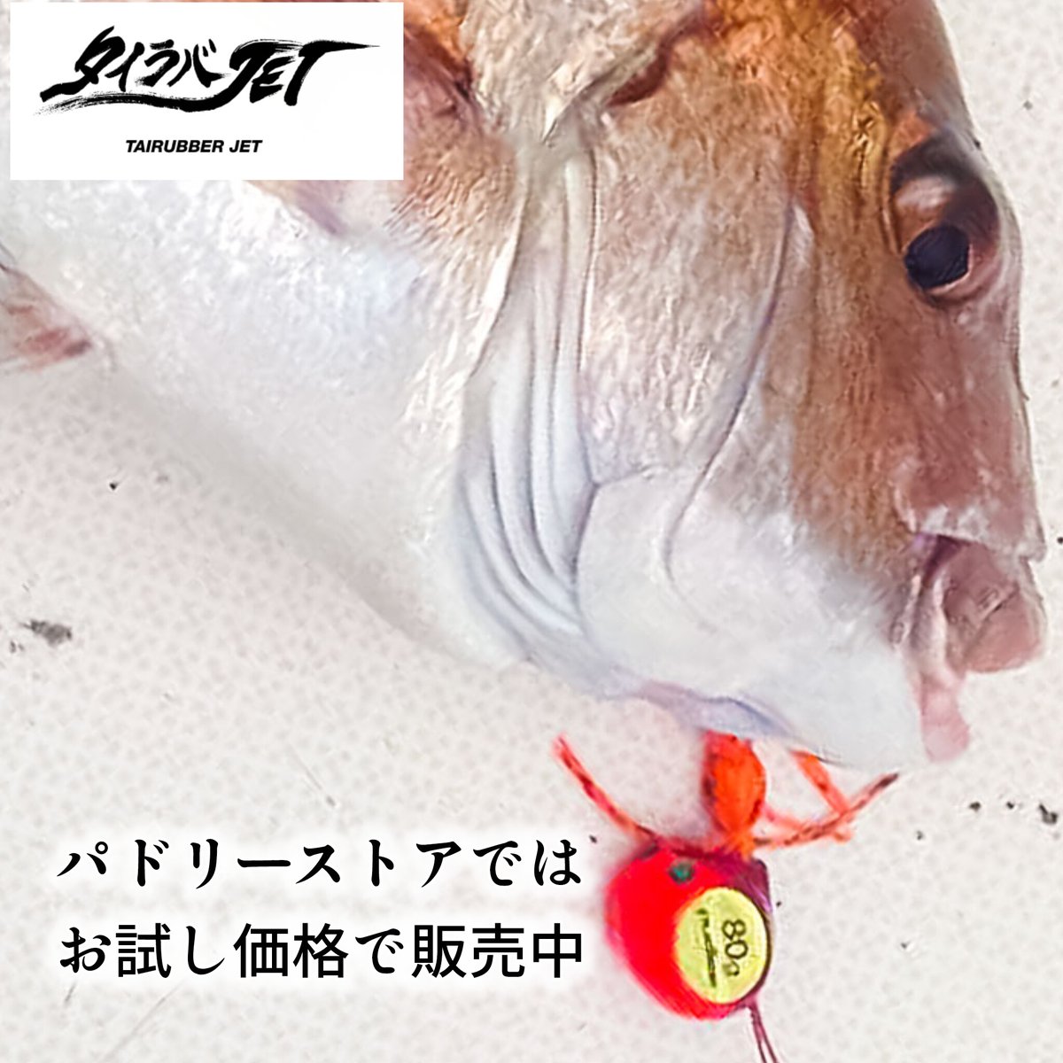新田 直哉 (@fishing0325) / Posts / X