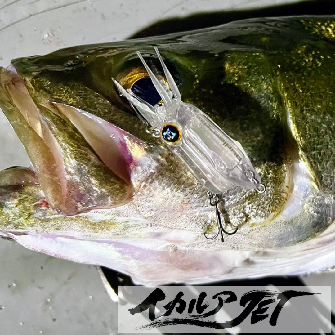 新田 直哉 (@fishing0325) / Posts / X