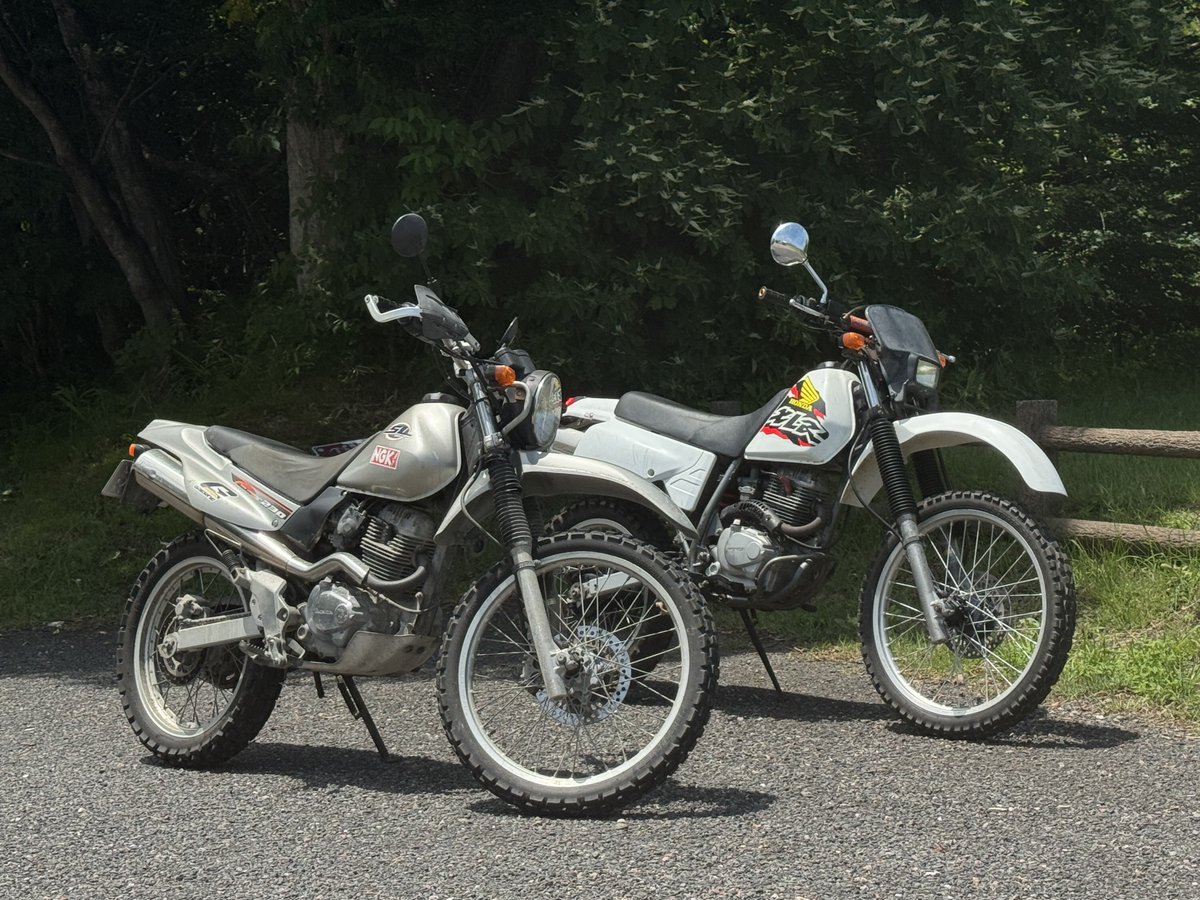 sardine______'s tweet photo. #バイクの日
#8月19日はバイクの日
まぁ〜ぼちぼちしかできません
原付達には暫く眠ってもらいます https://t.co/RAhcMgOSEk