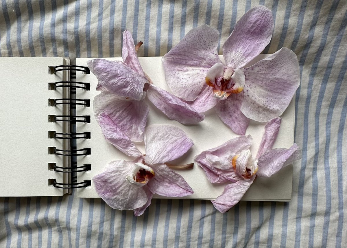 keeping them forever <3