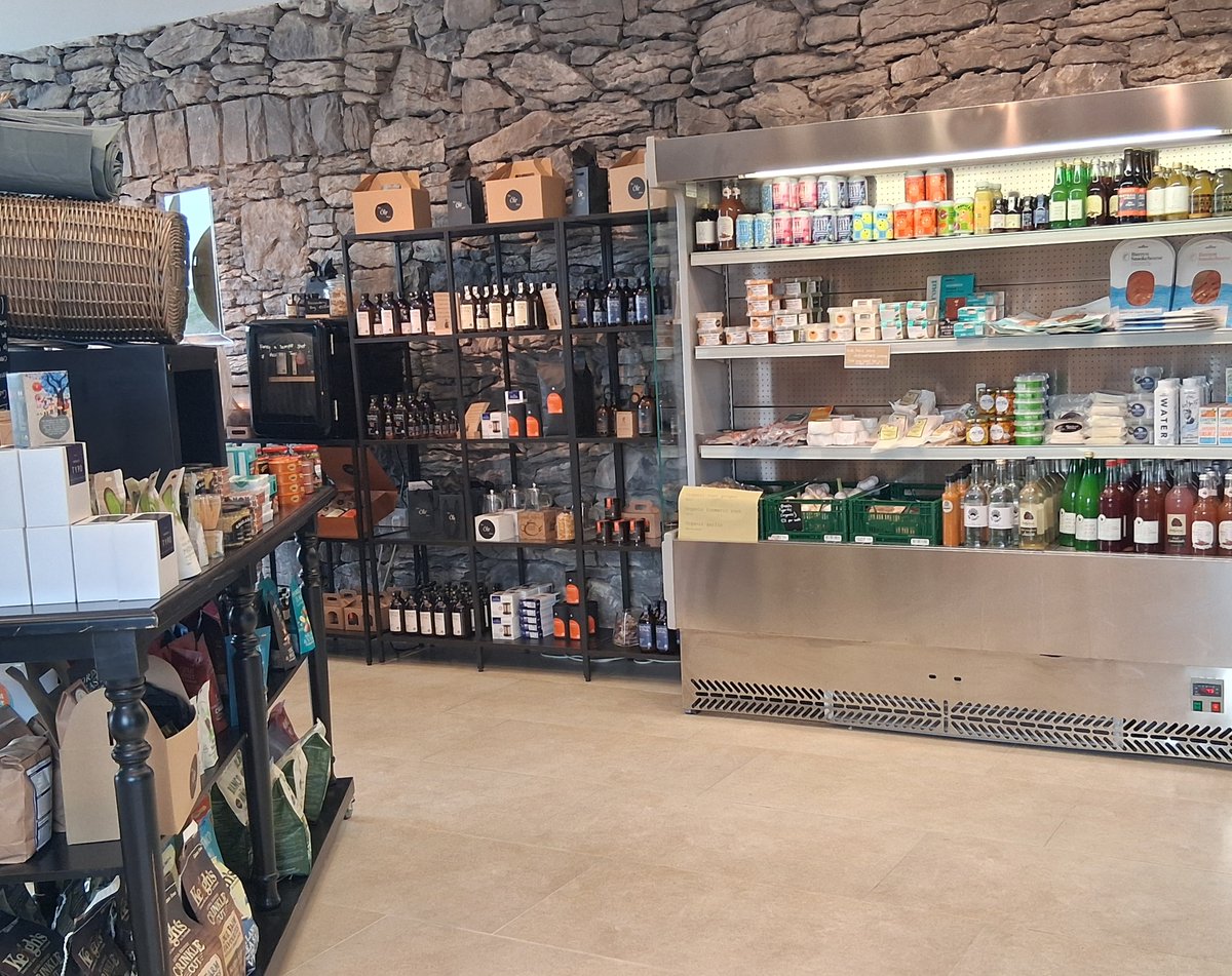 DiscoverBallyvaughan tweet media