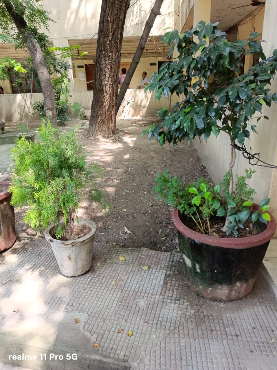 Delhi Jal Board (@delhijalboard) on Twitter photo 🌱💧Clean plant, clean water, clean Delhi – DJB at WTP Okhla & EE NE-II Offices.
#SwachhDelhi #DelhiKoKudeSeAzaadi #DJB 🌱💧Clean plant, clean water, clean Delhi – DJB at WTP Okhla & EE NE-II Offices.
#SwachhDelhi #DelhiKoKudeSeAzaadi #DJB