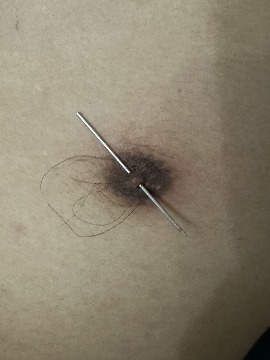 狗儿子<a href="/sm1069_M/">阿酷の贱狗旺旺</a> 两岁生日，给打了乳钉，做了奶茶。慢慢一步一步改造狗身体。感谢<a href="/LucasStar8/">Lucas_Star</a> 的穿环和拍照。