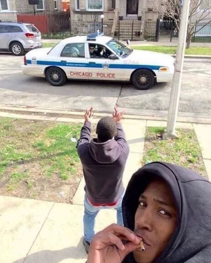 culture jpeg (@culturejpg) on Twitter photo 