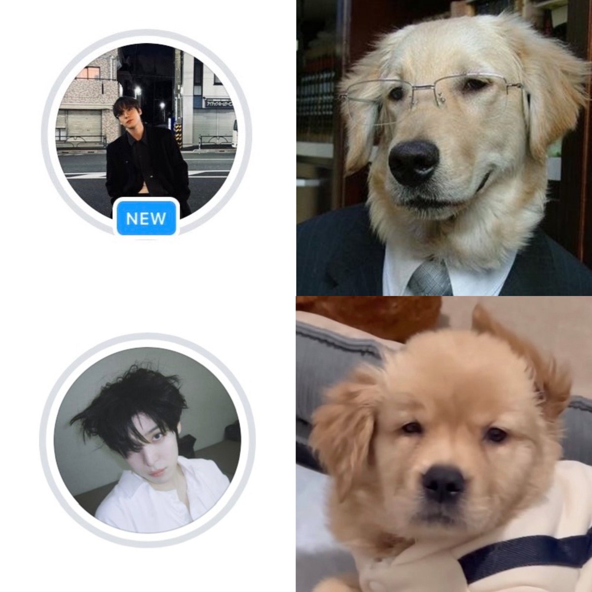 yunou._.u has 2 moods  🐶✌🏻