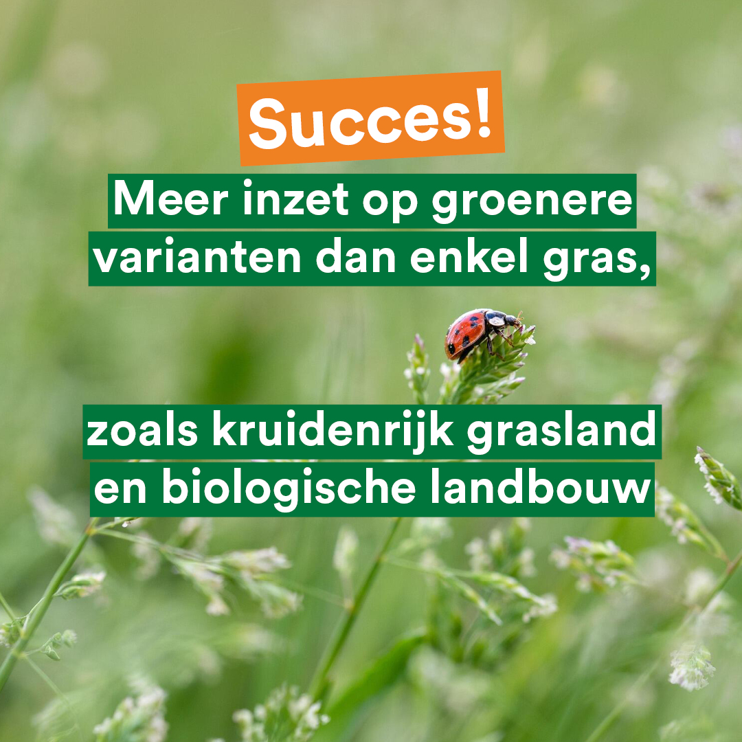 💚 Groener dan enkel gras 

Op ons voorstel zet de provincie <a href="/Brabant/">Provincie Noord-Brabant</a> nu niet enkel in op behoud van conventioneel grasland (om te voorkomen dat intensieve akkerbouw de plaats inneemt), maar ook op omschakeling naar extensief kruidenrijk grasland en biologische landbouw... [1/2]