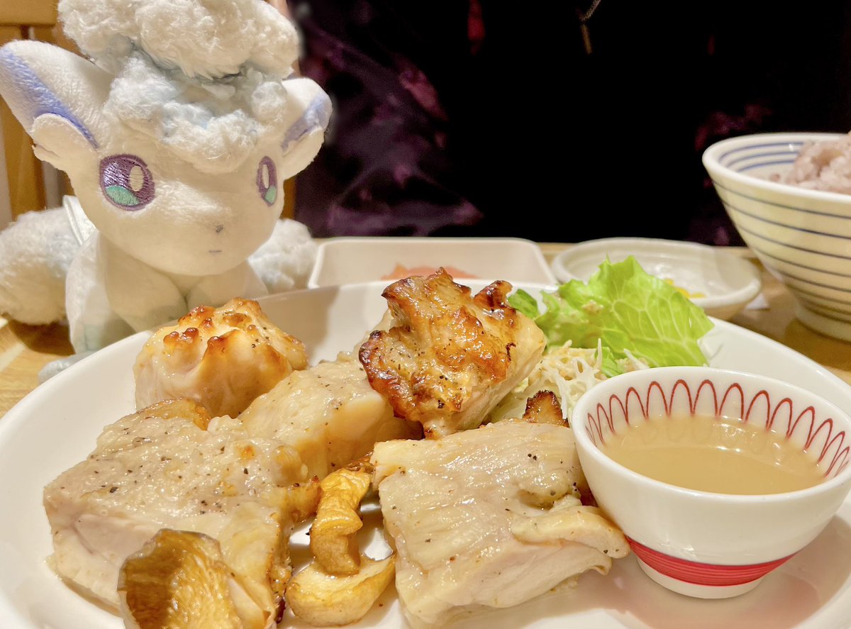 お肉柔らかくて美味しかったね🫶
 #ポケぬいもぐもぐ部  #アローラロコン  #ポケモンのいる生活  #ポケぬいトレーナーさんと繋がりたい