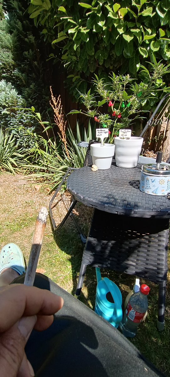 Und Zündung, schönen sonnigen Tag #cannabis