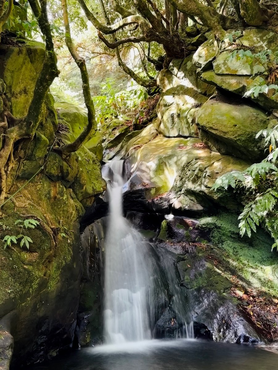 Une cascade figée dans le temps, et pourtant en mouvement constant. Pas besoin de matériel lourd ou coûteux : un simple iPhone suffit pour transformer l’eau en voile de lumière grâce à une pose longue. 🌊✨
Avec créativité on peut capturer la poésie du monde.
#ShotOniPhone