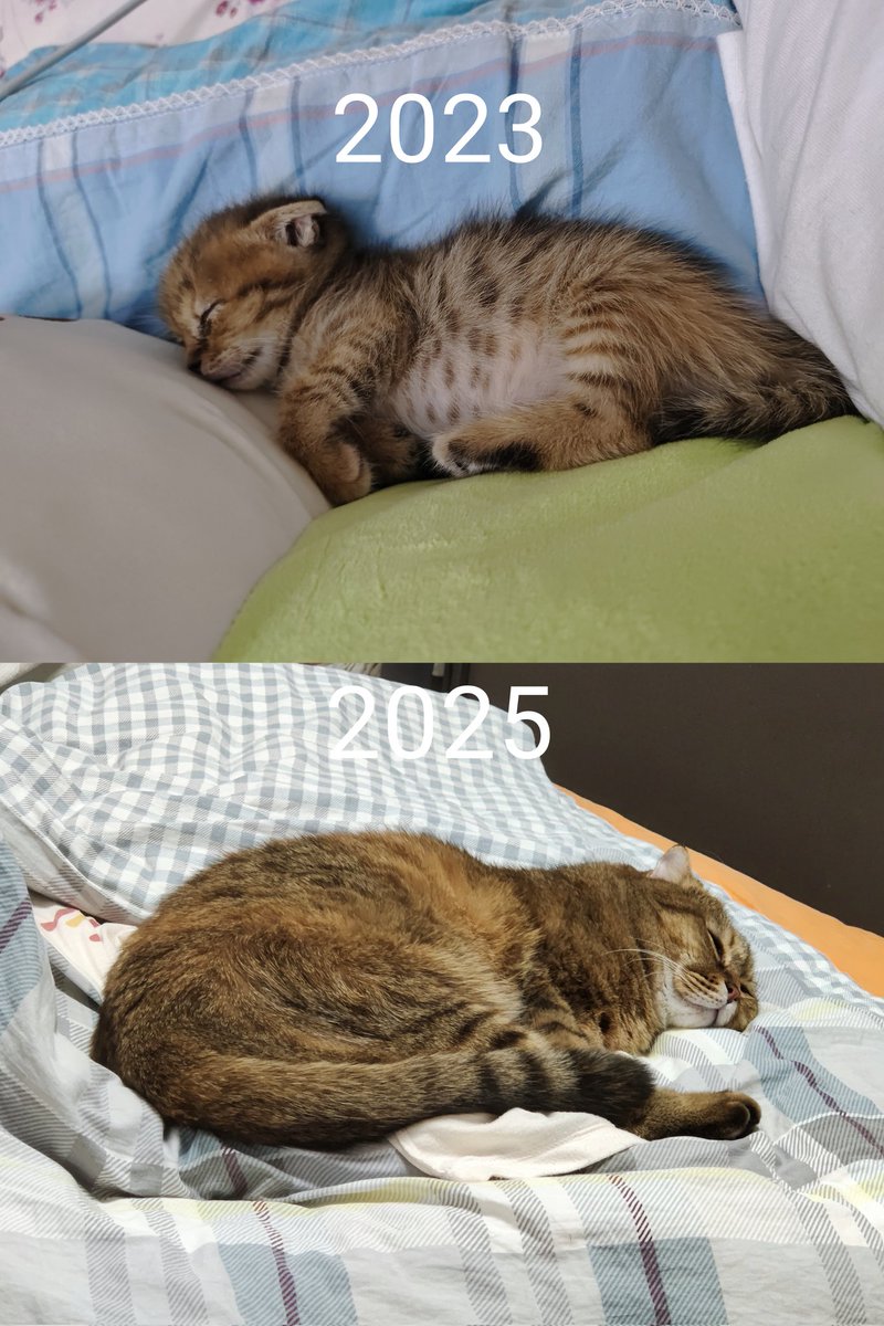 两年时间好快啊.....