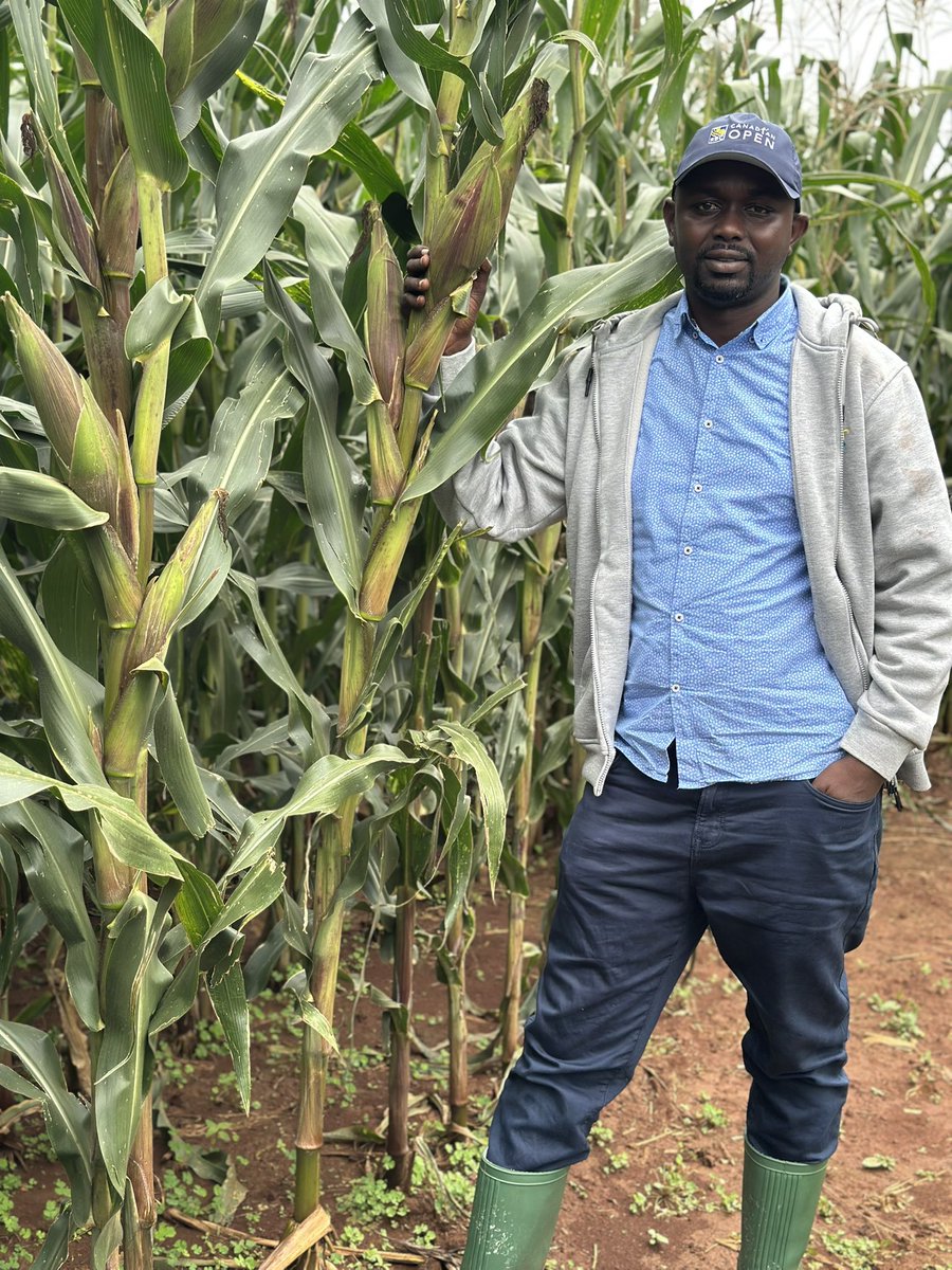 Attending the annual #Yara farmer #FieldDay day at Chepses farm in Soi, Uasin Gishu County. 👌

Every farm has a story, lessons learned, challenges overcome &amp; successes worth celebrating.
By sharing,we educate ,inspire &amp; strengthen fellow farmers. 

Our Champion farmer Philip