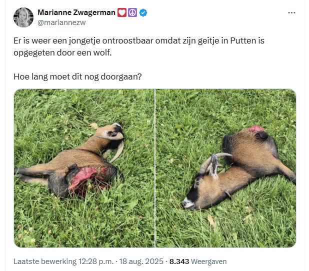 ton_aarts's tweet photo. Ja mensen. Hoe Lang Moet Dit Nog Doorgaan??!!
PS: 1,7 miljoen slachtdieren in NL per .. dag
Da's 1.180 geslachte dieren per minuut
Maar ja, die wolf hè. Vreselijk! Dáár zouden ze naar moeten kijken!
Vertellen jullie het @mariannezw?
Ik zou 't zelf doen, maar .. #blockerdeblock https://t.co/O4MA3g1qwZ
