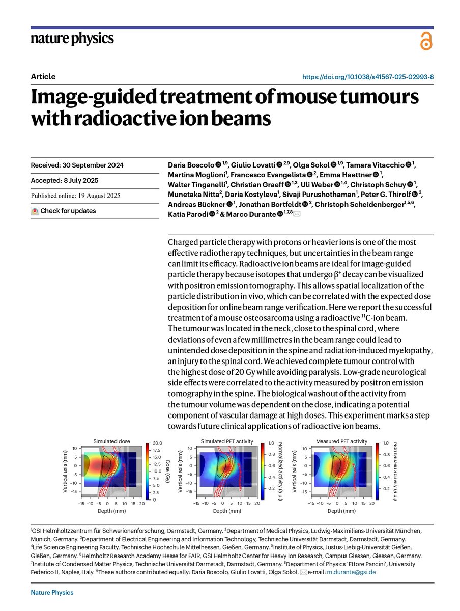 RRobaina75's tweet image. Image-guided treatment of mouse tumours with radioactive ion beams.
#aeprot #CIRT #particletherapy #hadrontherapy