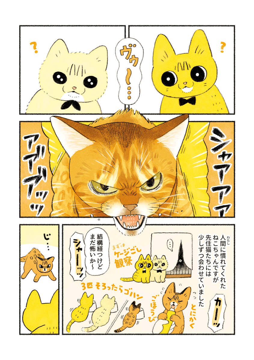 (2/4) 