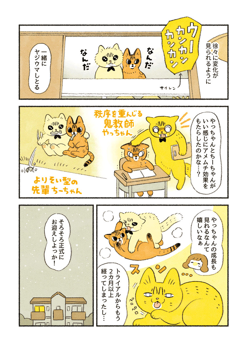 (2/4) 