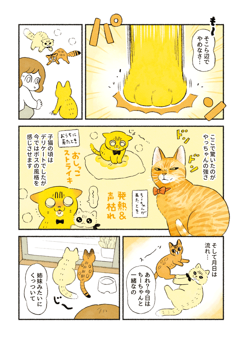 (2/4) 