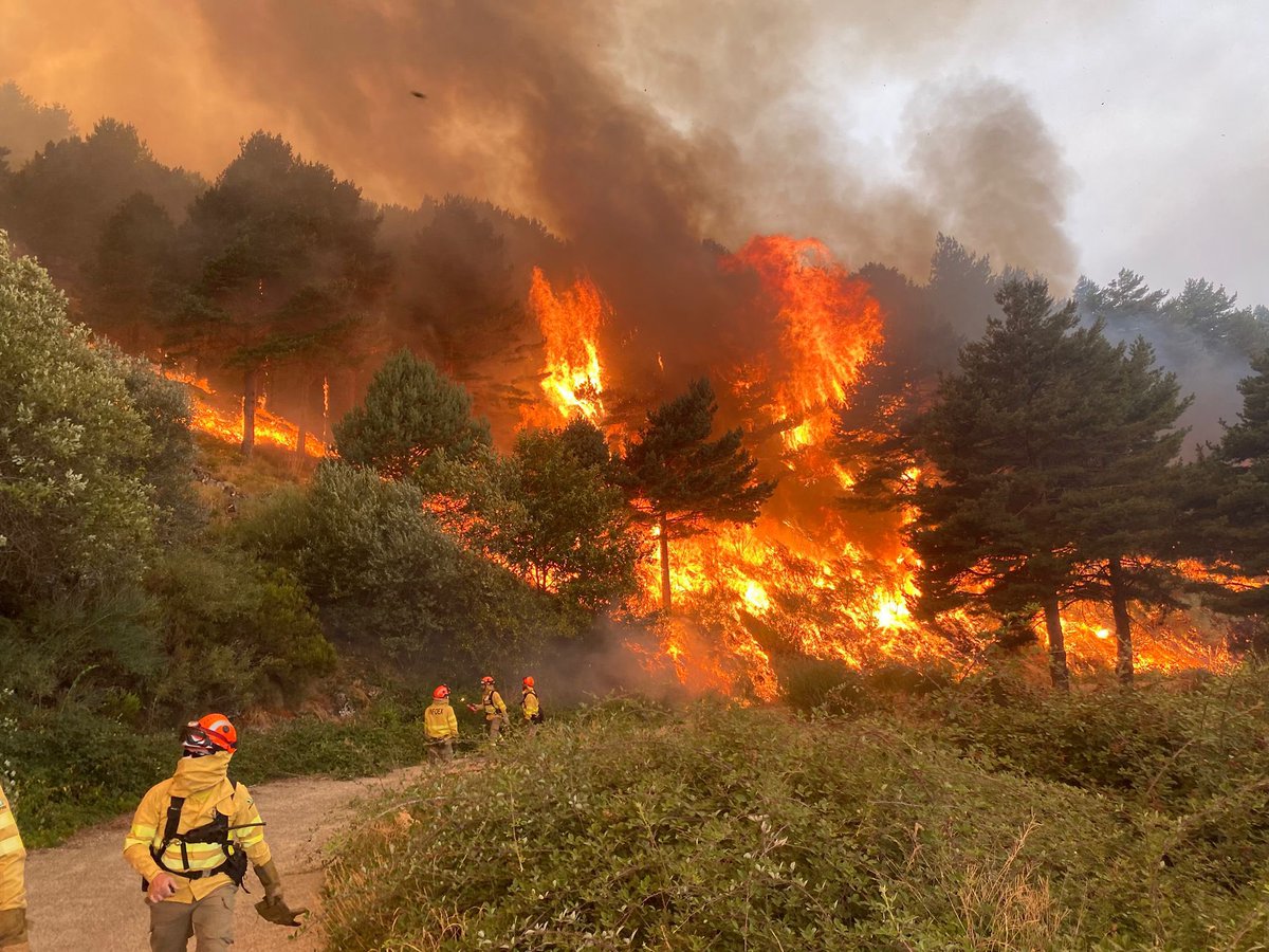 Los fuegos No,No se apagan en invierno..los incendios se apagan cuando arden,con MÁS medios,mejor equipados,con condiciones dignas(categoría)de los que los combaten.. En invierno se puede trabajar sobre la gestión del monte,con prevención.#ifjarilla,#ifincendiosforestsles