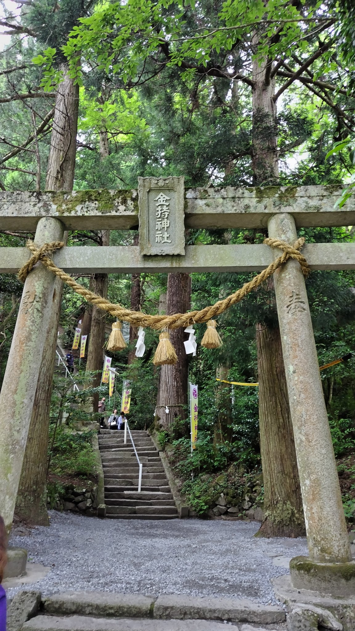 🍁もみじ (@izumo5629) / X