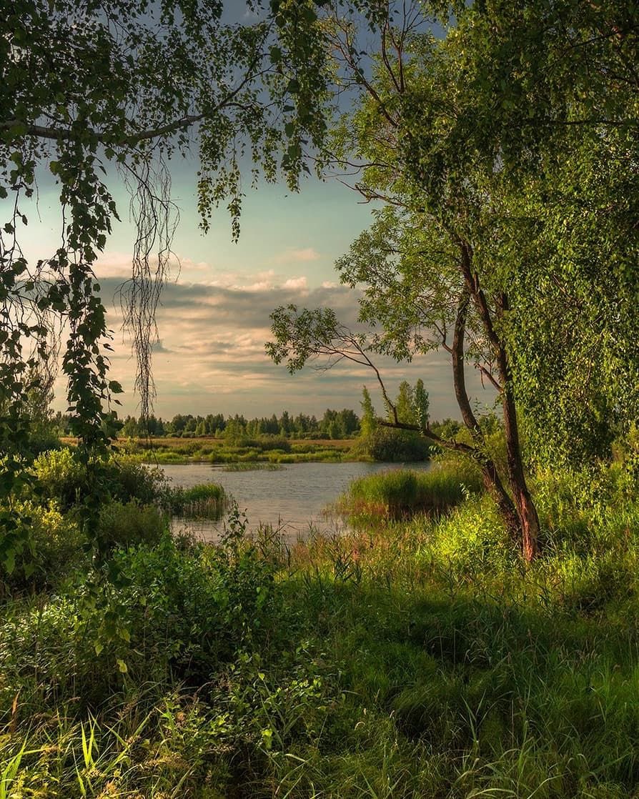 greendreamvibes's tweet image. 🌿