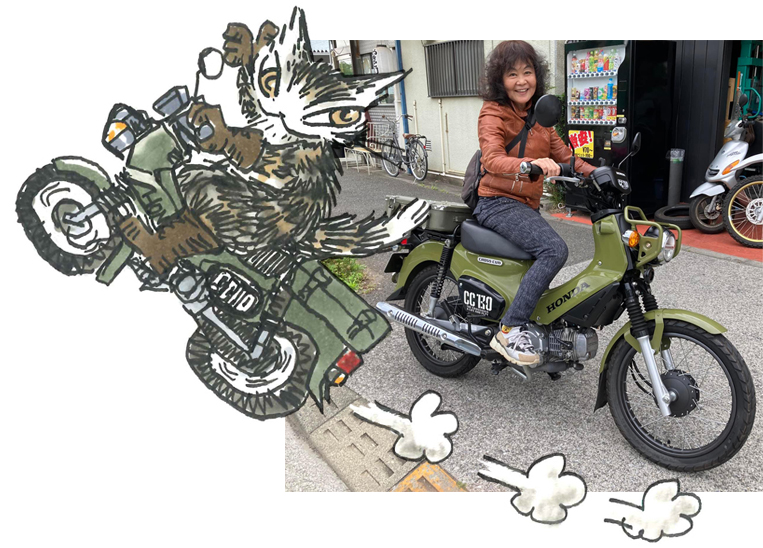 ★希少★ 未使用保管品　わちふぃーるど　猫のダヤン　オルゴールスクーター　元箱有 ♬入手困難♬未使用♬わちふぃーるど♬オルゴール