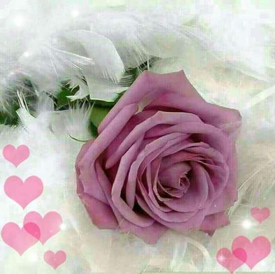 "قليلاً من التفاؤل يصنع لك ألف طريق نحو السعادة."💜

أمل وأمنيات 🌹🤍