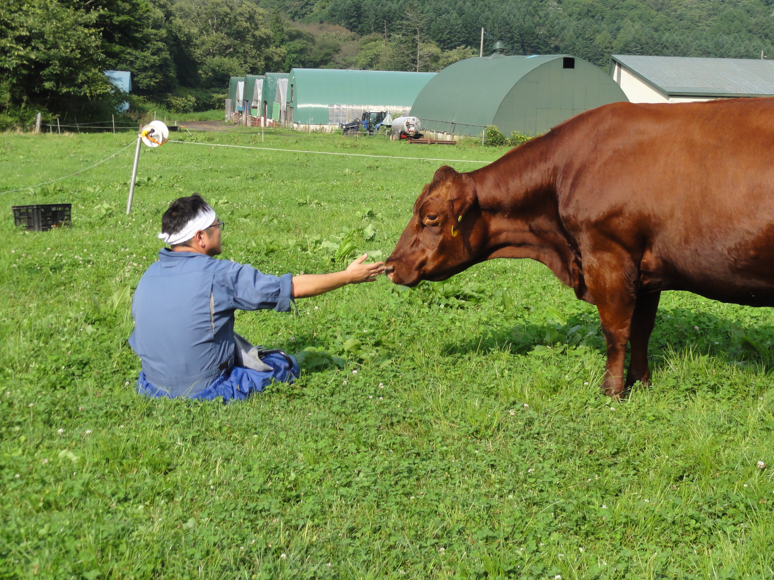 野生動物の獣医学 Murray E. Fowler 野生動物の獣医学 Murray E. Fowler Zoo and Wild Animal