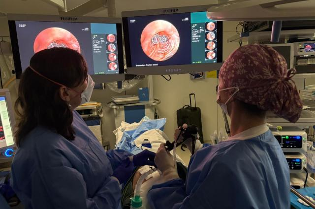 Rubén Genovés tweet media