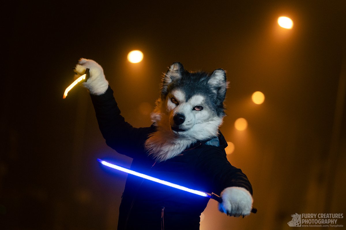 Once upon a time, I offered a friend some green tea he wasn't used to. He called me few minutes after midnight, pointing out there's luxurious fog outside and we should go photoshooting. I've got to bed at 3am. 

🐺 <a href="/ZenAku_wolf/">ZenAku</a> 
✂️ <a href="/DireCreatures/">DireCreatures</a>