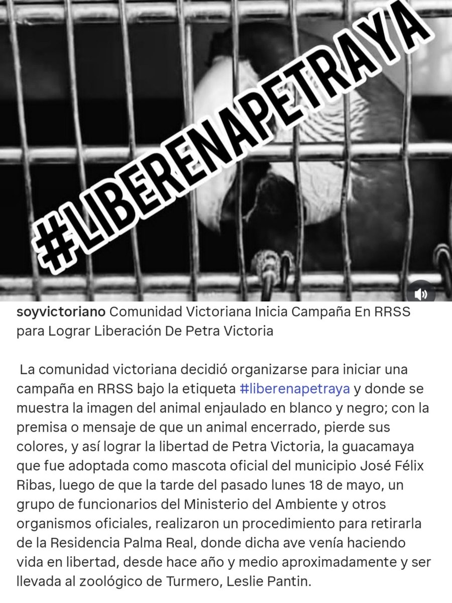 Yeni_Star's tweet photo. Libertad para Petra , apoyen la campaña por favor #LiberenAPatraYa https://t.co/6eykOYCvwO