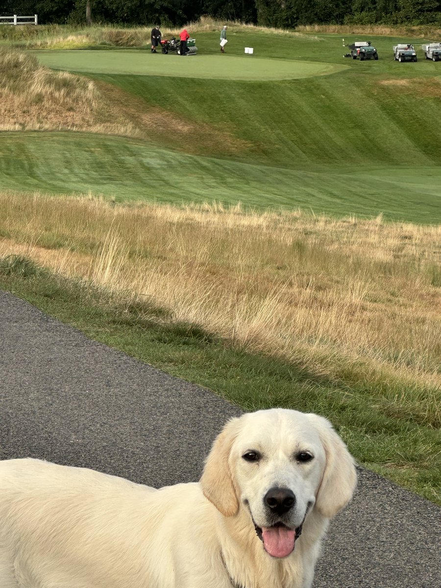 Colonial Turf tweet media