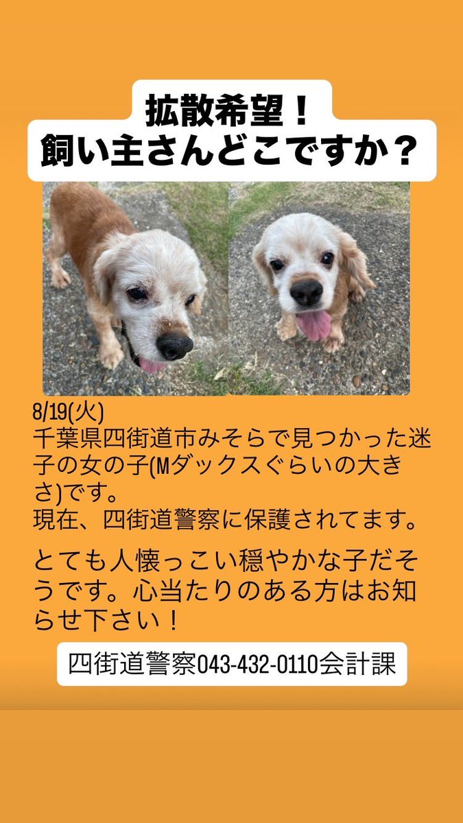 simaneko silk (@anzu0215) / X