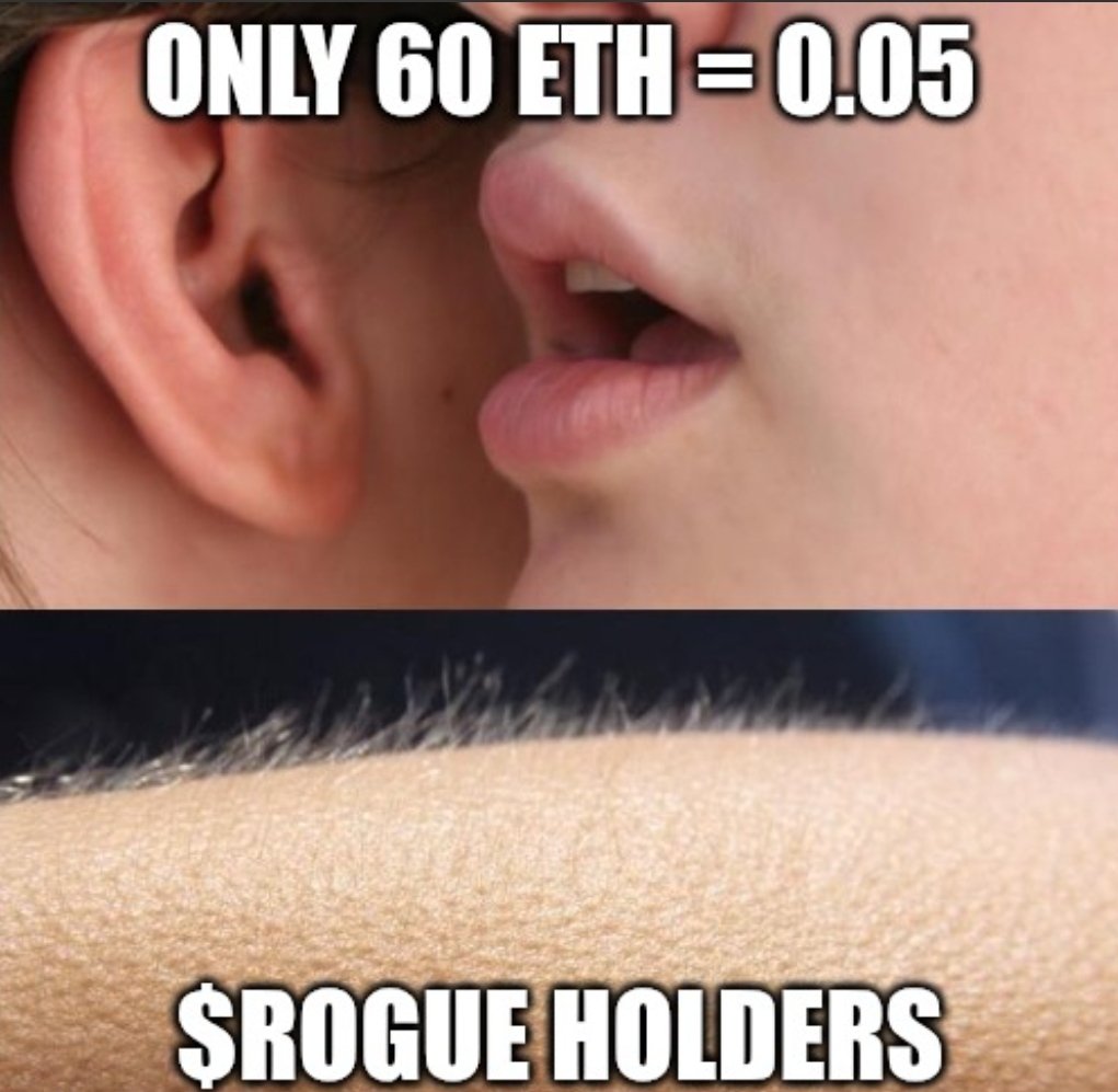 ElCapo .s 💥 tweet media