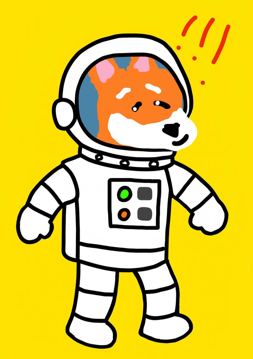 cryptogain18's tweet photo. @theunipcs BonkFun changed the game for the better. People are just too $STUPID to realize https://t.co/RP9aPebgsx