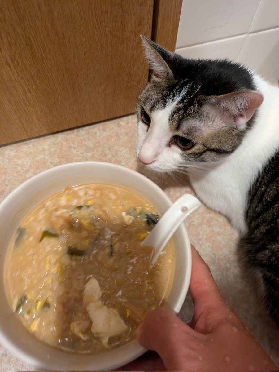 何故か提供されたのはおじやでした