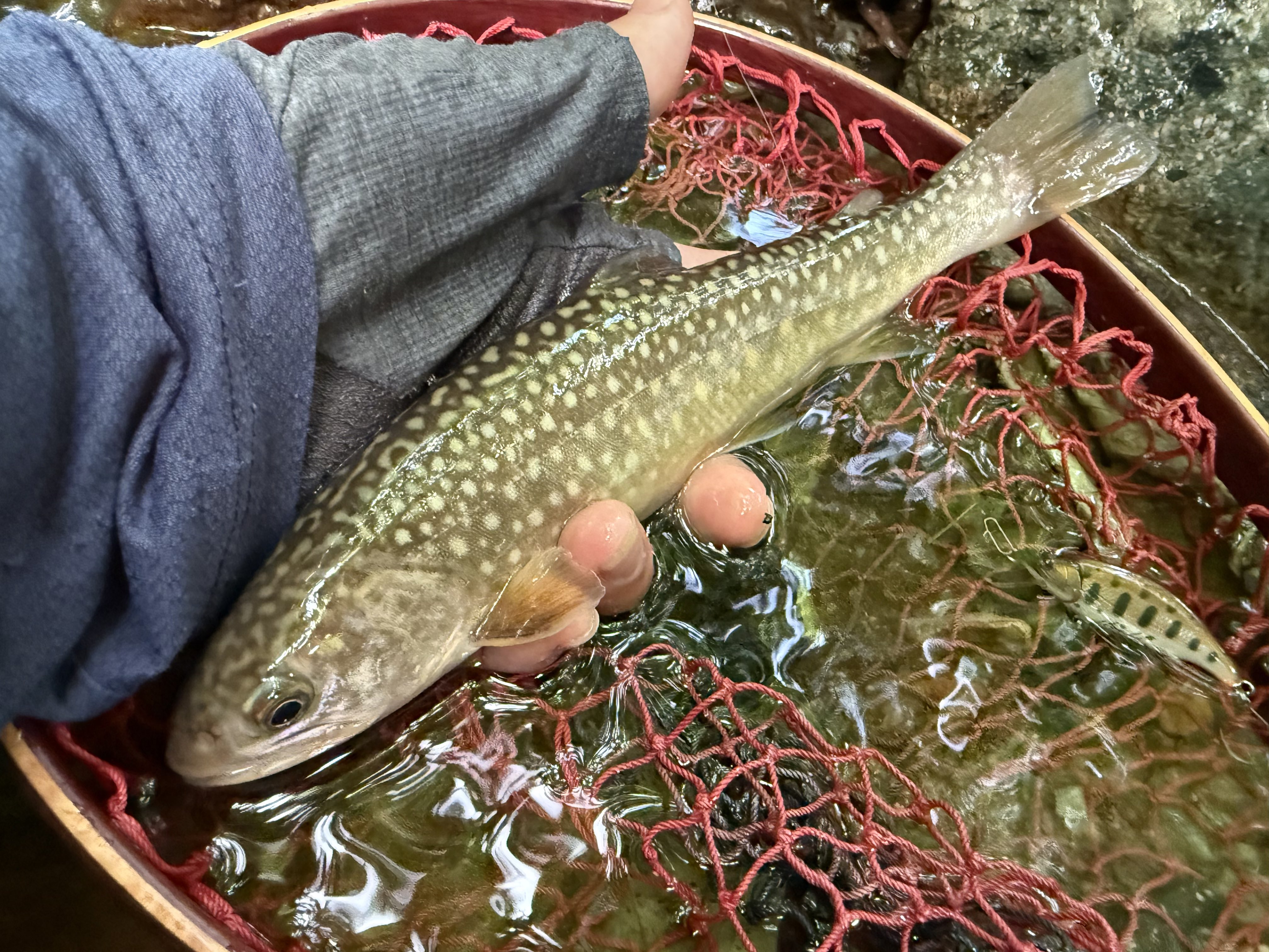 yuu (@OmusubiRotary) / X