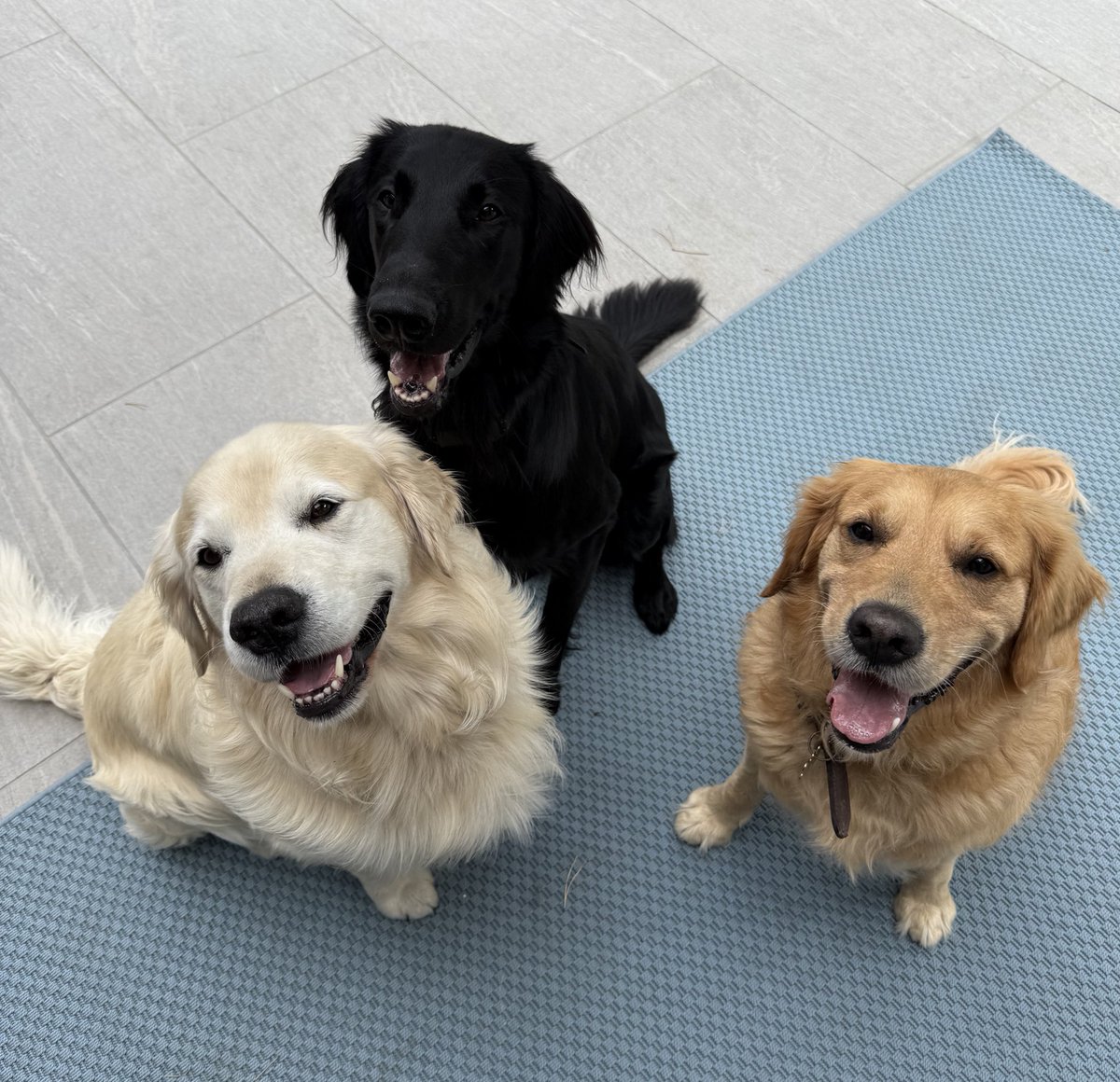 Hells Bells tweet media