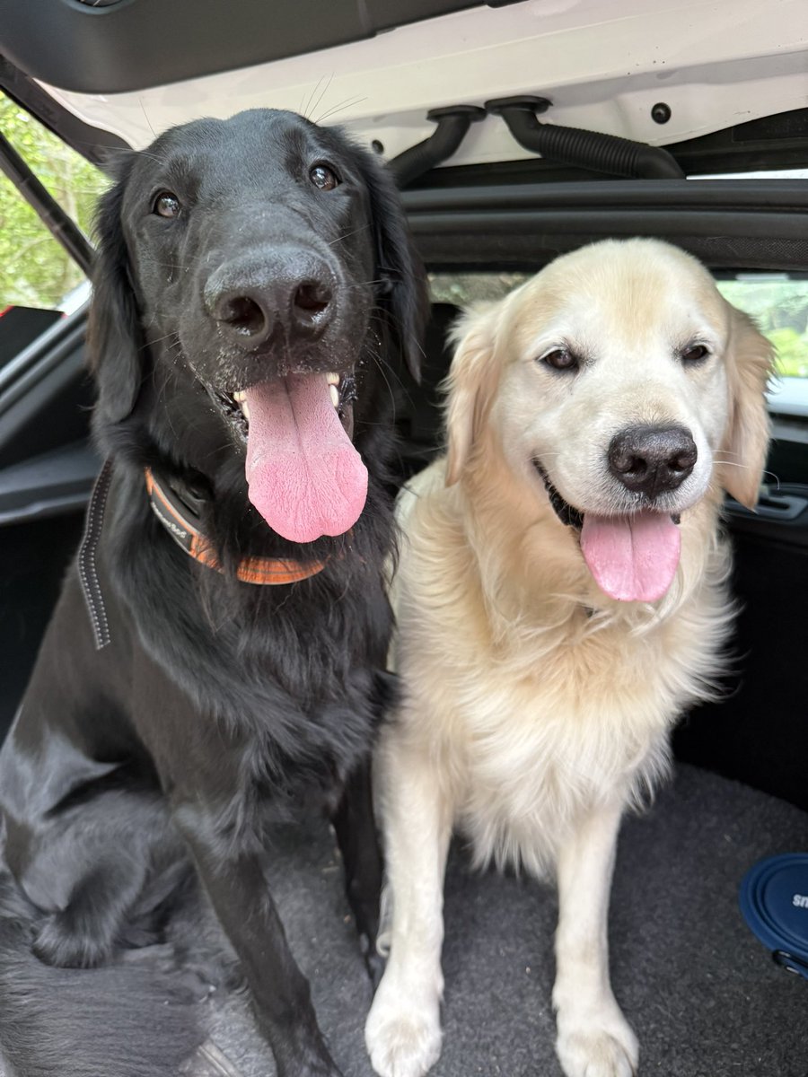 Hells Bells tweet media