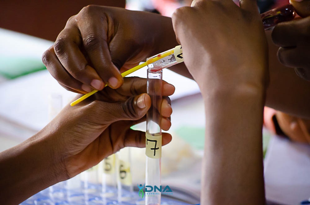 DNALCNigeria's tweet image. (Bubbling Liver &amp;amp; Potato Experiment), and mastered Bacterial Streaking on LB Plates! The energy was electric!

Day 7 is now LIVE, and it’s turning up the heat with even more thrilling discoveries! Stay tuned for the revolution! #DNALCN #SummerCourse2025 #dnalcnigeria