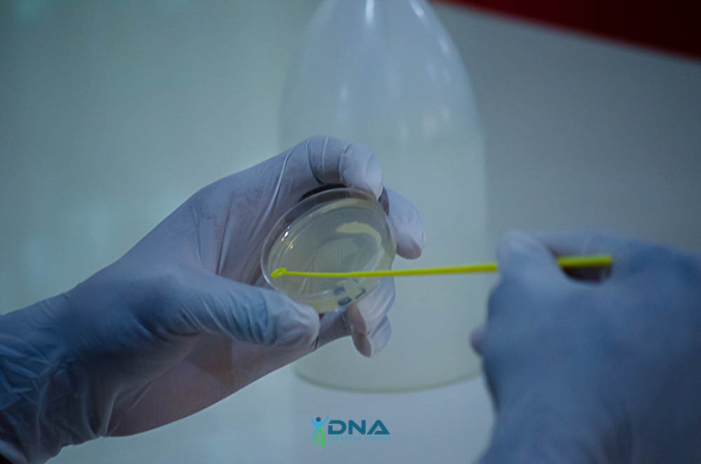 DNALCNigeria's tweet image. (Bubbling Liver &amp;amp; Potato Experiment), and mastered Bacterial Streaking on LB Plates! The energy was electric!

Day 7 is now LIVE, and it’s turning up the heat with even more thrilling discoveries! Stay tuned for the revolution! #DNALCN #SummerCourse2025 #dnalcnigeria