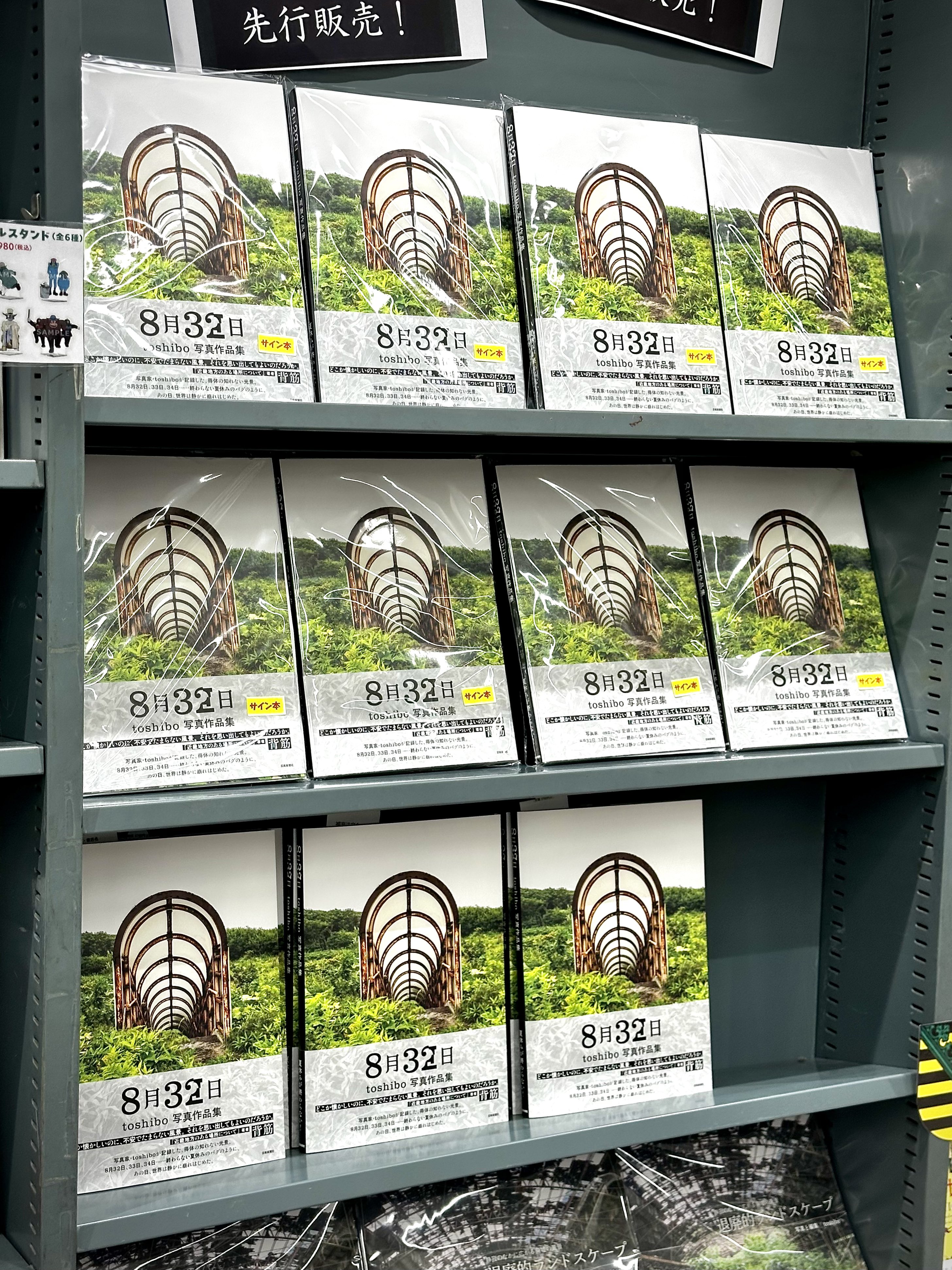 本堂 印象、晴れた水路、希少な画集より、新品額装付 没後50年記念〉企画展 堂本印象と大阪 〈50th anniversary of
