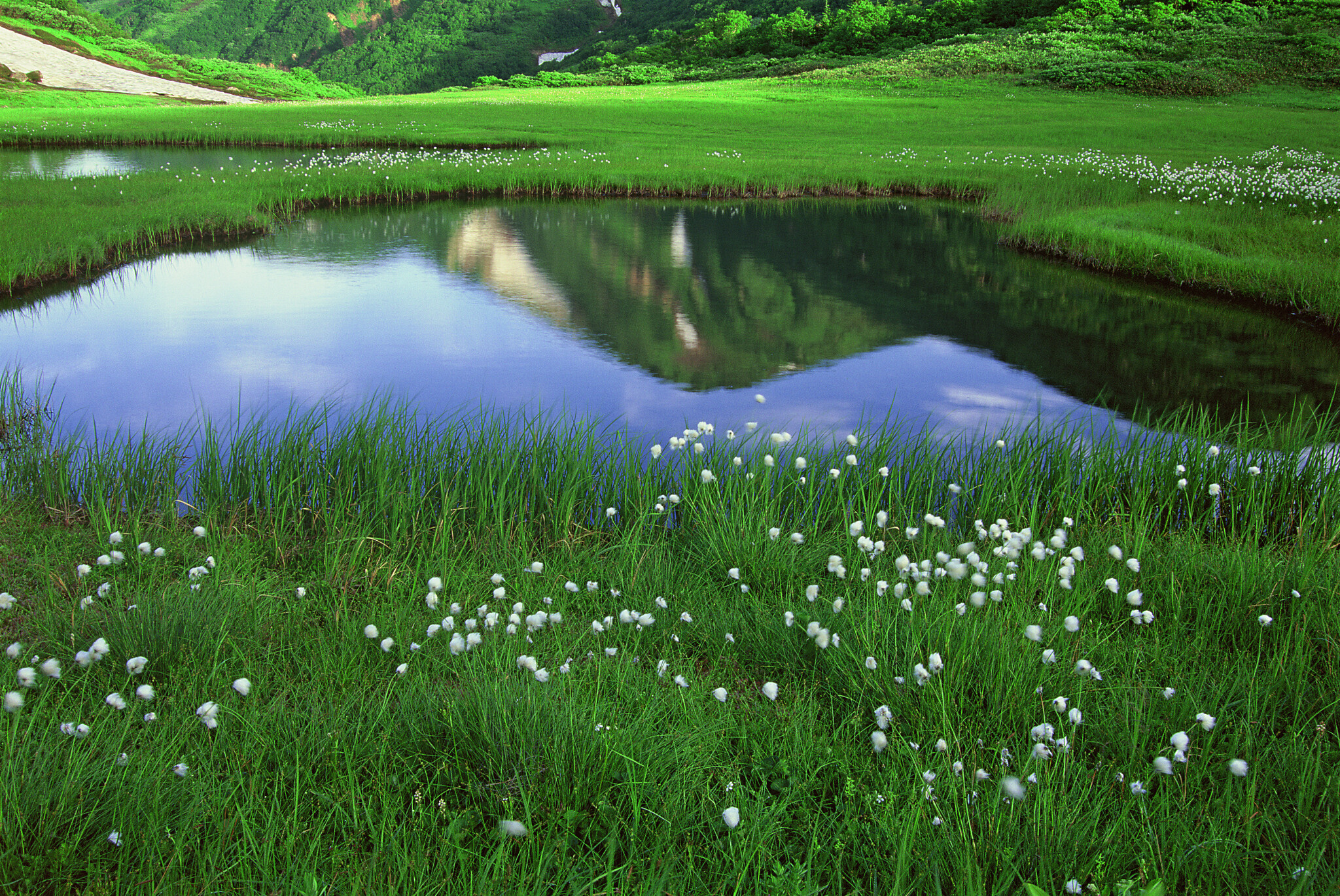 【真作】掛軸　漁夫と風景　侘び寂びの美　漁夫の情景　静寂の水辺風景　Q137 FUJIFILMSQUARE on X: 
