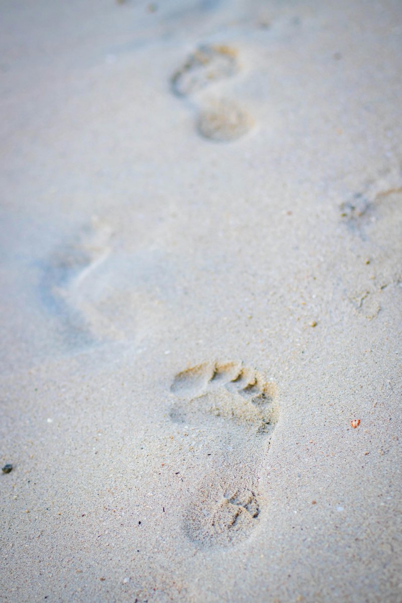 CGCFE (@cgcfe) on Twitter photo 👣 Caminar descalzo por la playa o abusar de las chanclas puede sobrecargar el tendón de Aquiles y causar fascitis plantar. <a href="/cfisiomad/">CP Fisioterapeutas Madrid | #somosloquenecesitas</a> alerta del aumento de casos en septiembre y recomienda precaución con el cambio de calzado.
ℹ️ Más info: goo.su/HHRrqJ4 👣 Caminar descalzo por la playa o abusar de las chanclas puede sobrecargar el tendón de Aquiles y causar fascitis plantar. <a href="/cfisiomad/">CP Fisioterapeutas Madrid | #somosloquenecesitas</a> alerta del aumento de casos en septiembre y recomienda precaución con el cambio de calzado.
ℹ️ Más info: goo.su/HHRrqJ4