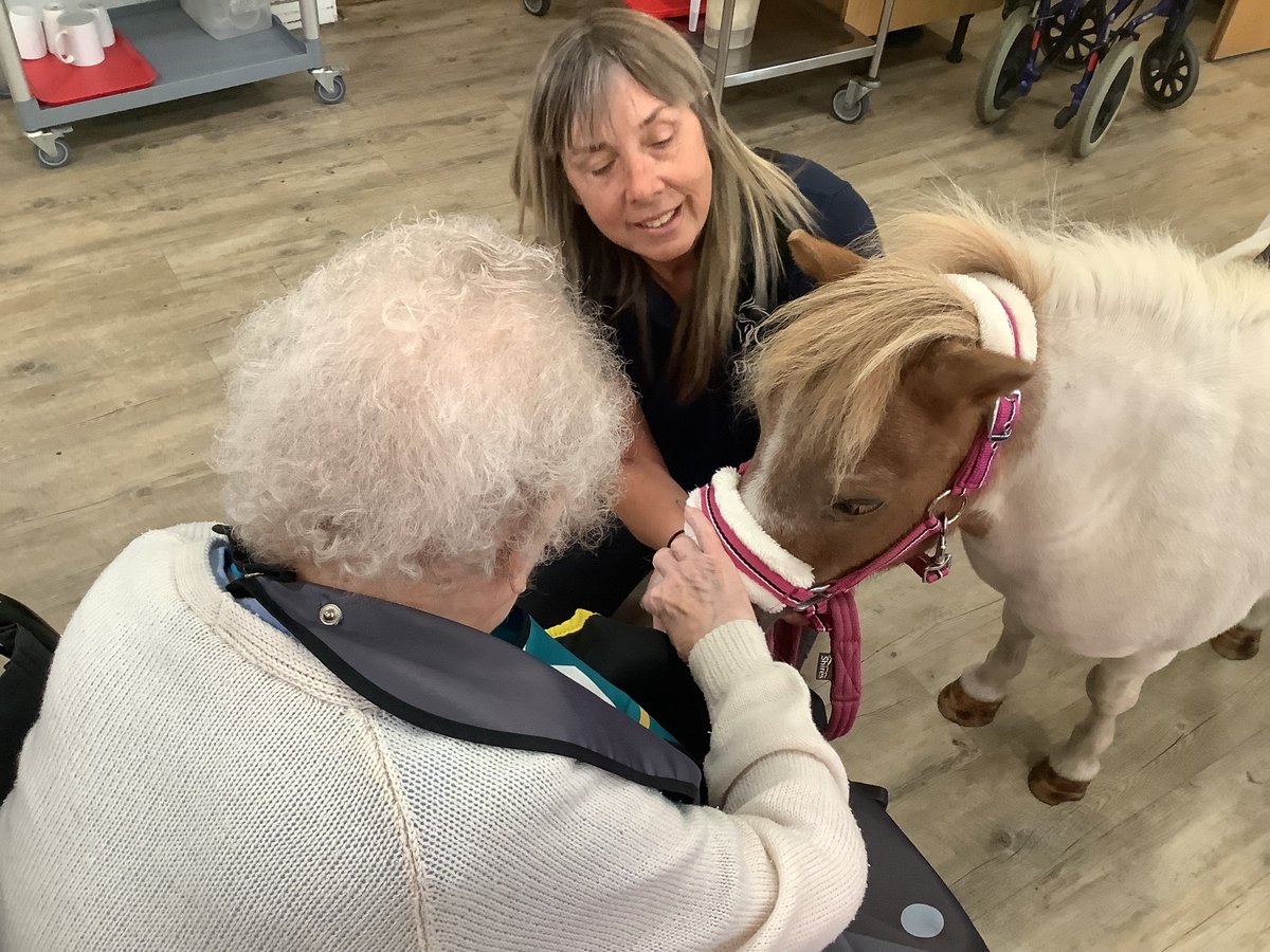 A very special visit from Peaches the Pony 🐴

Residents of Abbeyfield Loughborough loved welcoming Peaches the Pony. Everyone had a great time feeding and brushing her—she was such a sweetie!

abbeyfield.com/member-societi…

#RetirementLiving #Pony #LoughboroughRetirement