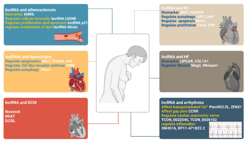 Benedetta Izzi tweet media