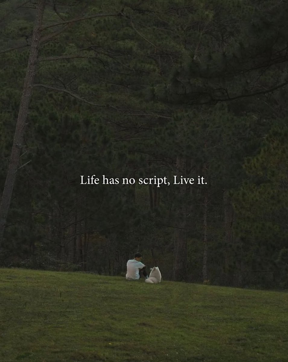 autumncontent's tweet image. Life has no script, Lice it.