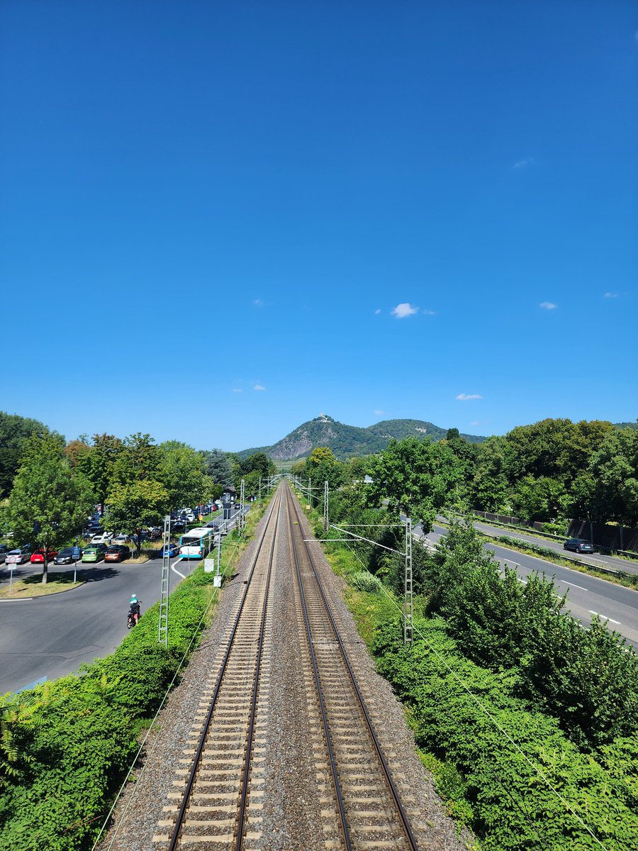 Cary Golomb tweet media