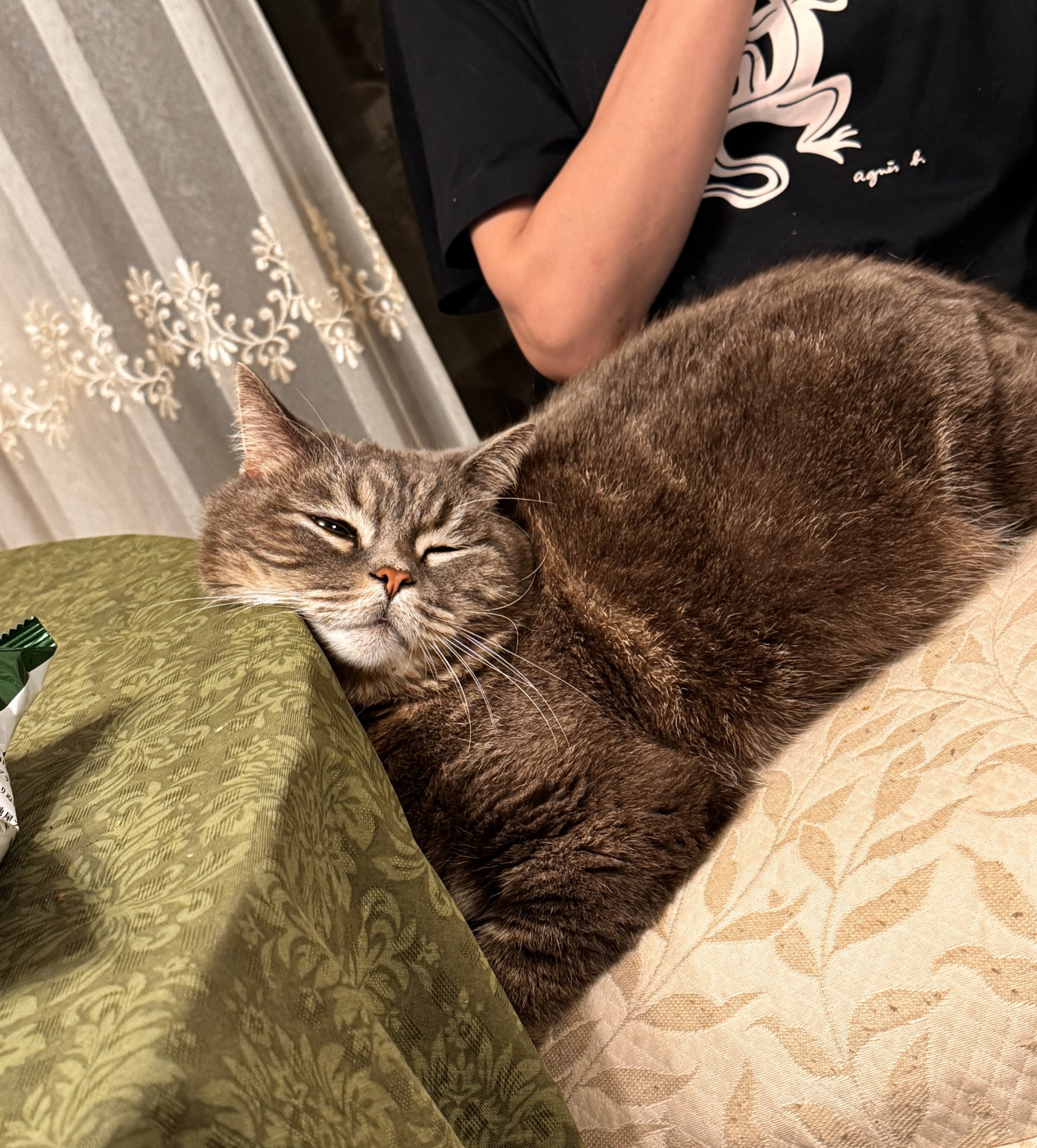 げきから on X: 